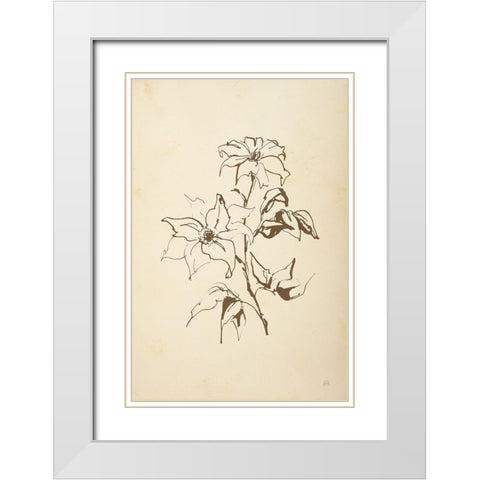 Vintage Line Clematis White Modern Wood Framed Art Print with Double Matting by Paschke, Chris