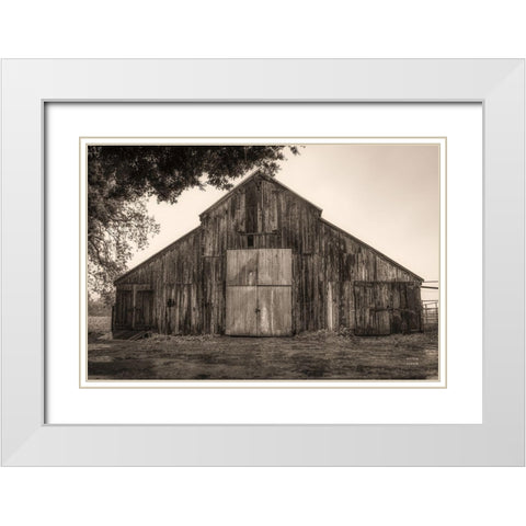 Hiding from the Rain White Modern Wood Framed Art Print with Double Matting by Larson, Nathan