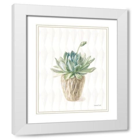 Desert Greenhouse XV White Modern Wood Framed Art Print with Double Matting by Nai, Danhui