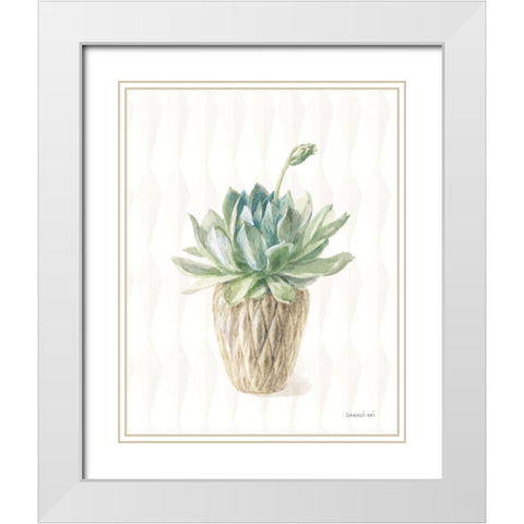 Desert Greenhouse XV White Modern Wood Framed Art Print with Double Matting by Nai, Danhui