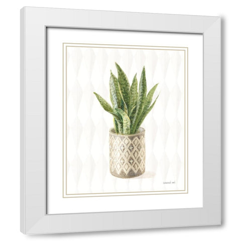 Desert Greenhouse XVI White Modern Wood Framed Art Print with Double Matting by Nai, Danhui