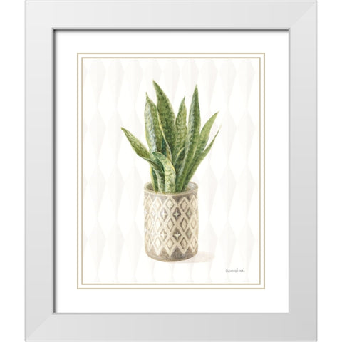 Desert Greenhouse XVI White Modern Wood Framed Art Print with Double Matting by Nai, Danhui