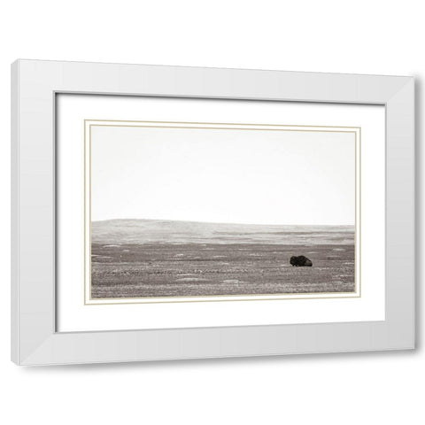 Badlands Guard White Modern Wood Framed Art Print with Double Matting by Larson, Nathan