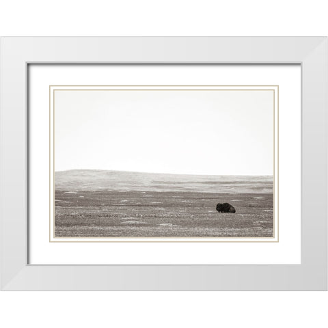 Badlands Guard White Modern Wood Framed Art Print with Double Matting by Larson, Nathan