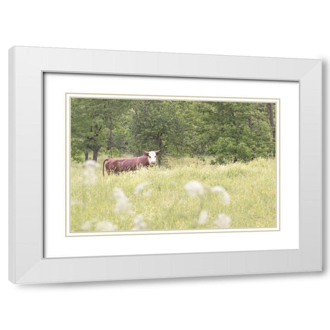 Summer Farm II White Modern Wood Framed Art Print with Double Matting by Schlabach, Sue