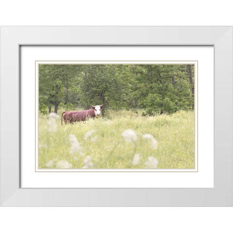 Summer Farm II White Modern Wood Framed Art Print with Double Matting by Schlabach, Sue