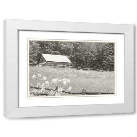 Summer Farm I BW White Modern Wood Framed Art Print with Double Matting by Schlabach, Sue