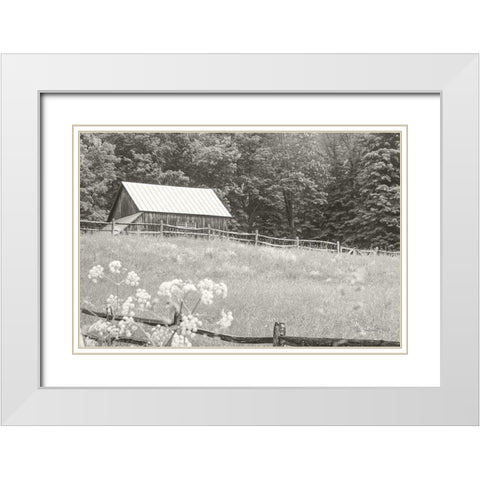 Summer Farm I BW White Modern Wood Framed Art Print with Double Matting by Schlabach, Sue