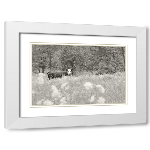 Summer Farm II BW White Modern Wood Framed Art Print with Double Matting by Schlabach, Sue