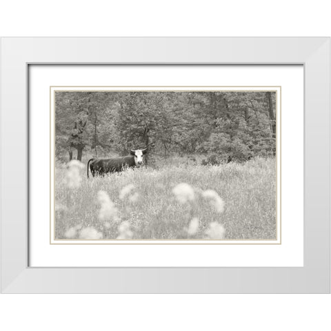 Summer Farm II BW White Modern Wood Framed Art Print with Double Matting by Schlabach, Sue