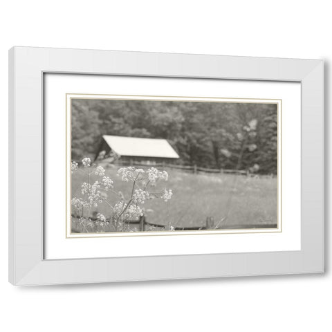 Summer Farm III BW White Modern Wood Framed Art Print with Double Matting by Schlabach, Sue