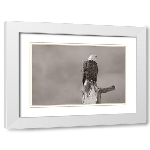 Eagle Perch White Modern Wood Framed Art Print with Double Matting by Larson, Nathan