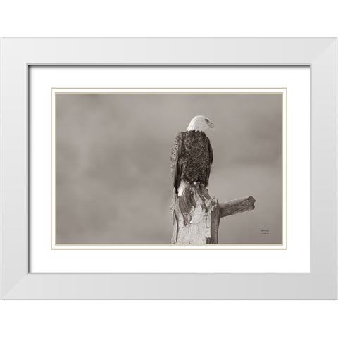Eagle Perch White Modern Wood Framed Art Print with Double Matting by Larson, Nathan
