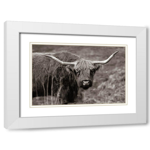 Highland Spring White Modern Wood Framed Art Print with Double Matting by Larson, Nathan