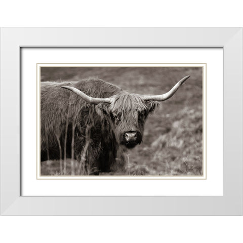 Highland Spring White Modern Wood Framed Art Print with Double Matting by Larson, Nathan