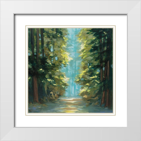 Sunlit Forest White Modern Wood Framed Art Print with Double Matting by Purinton, Julia