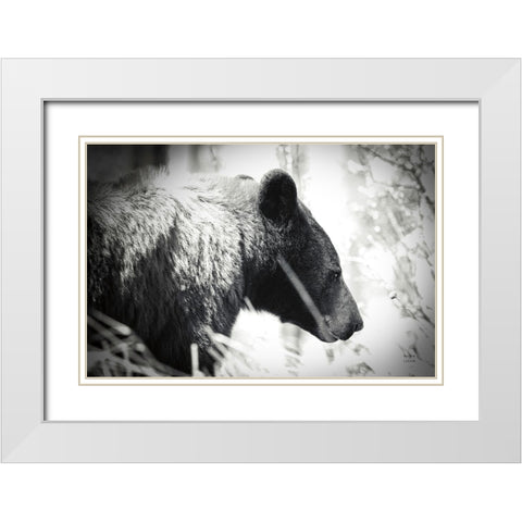 Bear Emerging White Modern Wood Framed Art Print with Double Matting by Larson, Nathan