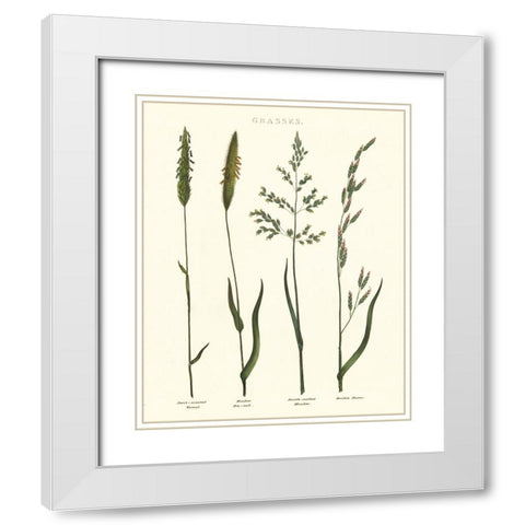 Herbal Botanical Study I Ivory White Modern Wood Framed Art Print with Double Matting by Wild Apple Portfolio