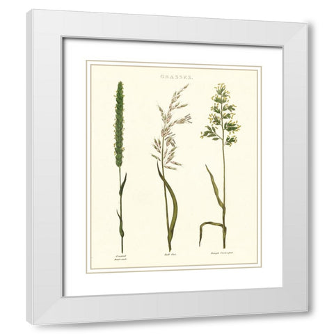 Herbal Botanical Study II Ivory White Modern Wood Framed Art Print with Double Matting by Wild Apple Portfolio