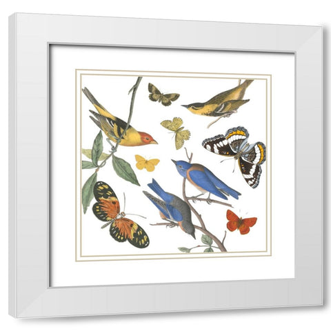 Natures Flight I No Ferns White Modern Wood Framed Art Print with Double Matting by Portfolio, Wild Apple