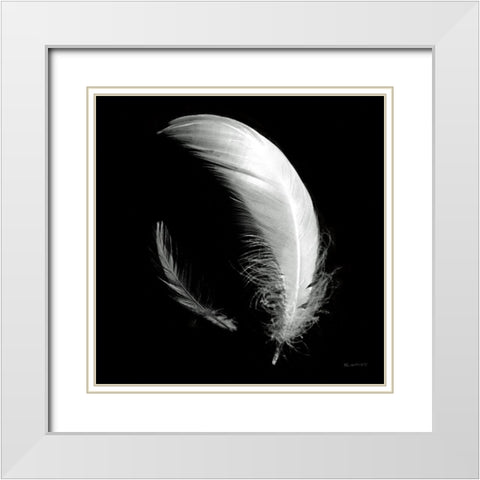 Dream Feathers Sq White Modern Wood Framed Art Print with Double Matting by Goldstein, Ed
