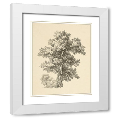 Tree Study I Dark White Modern Wood Framed Art Print with Double Matting by Wild Apple Portfolio