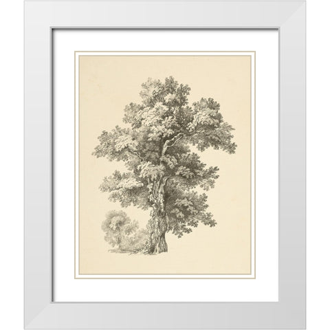 Tree Study I Dark White Modern Wood Framed Art Print with Double Matting by Wild Apple Portfolio