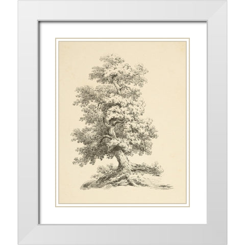 Tree Study II Dark White Modern Wood Framed Art Print with Double Matting by Wild Apple Portfolio