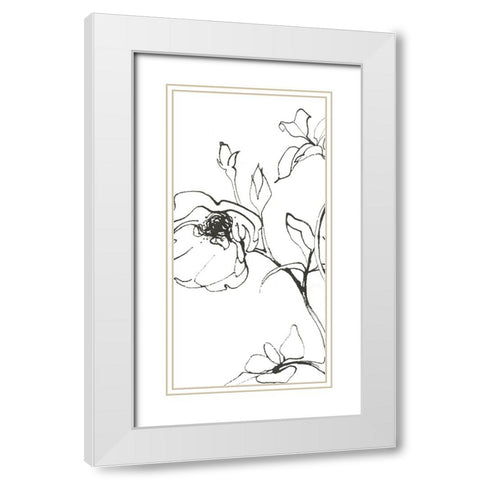 Sketch of Roses Panel I White Modern Wood Framed Art Print with Double Matting by Novak, Shirley