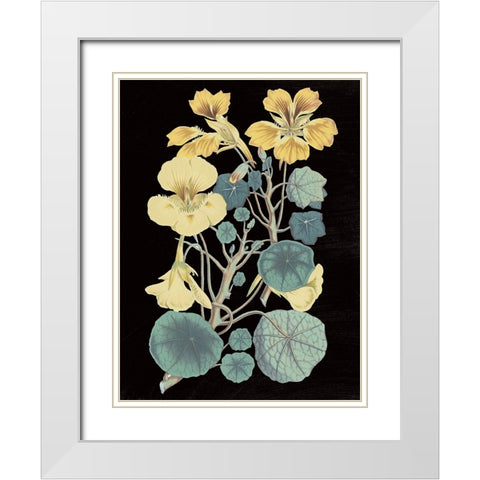 Antique Botanical XVII Cool on Black White Modern Wood Framed Art Print with Double Matting by Wild Apple Portfolio