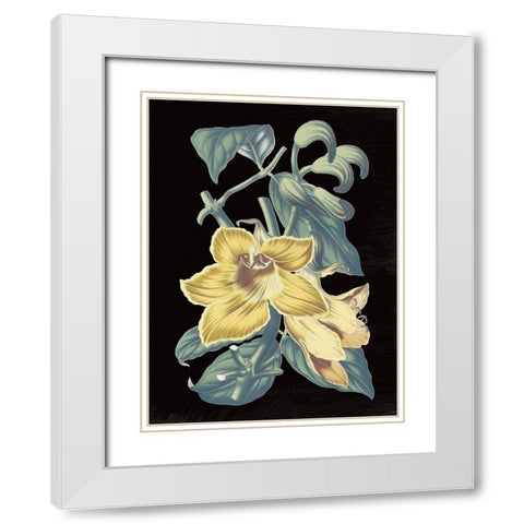 Antique Botanical XVIII Cool on Black White Modern Wood Framed Art Print with Double Matting by Wild Apple Portfolio