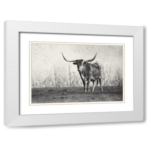 A Texas Longhorn White Modern Wood Framed Art Print with Double Matting by Van Swearingen, Debra