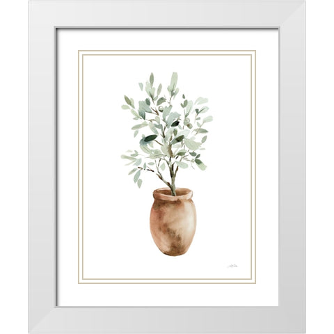 Potted Olive Tree White Modern Wood Framed Art Print with Double Matting by Pete, Katrina