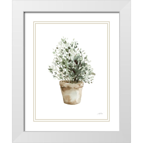 Potted Herbs White Modern Wood Framed Art Print with Double Matting by Pete, Katrina