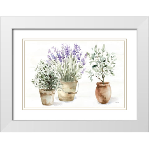Farmhouse Still Life White Modern Wood Framed Art Print with Double Matting by Pete, Katrina