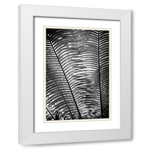 Sunlit Palms I White Modern Wood Framed Art Print with Double Matting by Van Swearingen, Debra