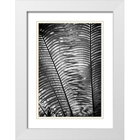 Sunlit Palms I White Modern Wood Framed Art Print with Double Matting by Van Swearingen, Debra