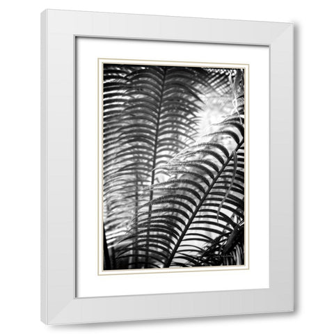 Sunlit Palms II White Modern Wood Framed Art Print with Double Matting by Van Swearingen, Debra