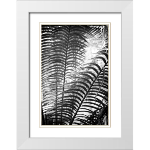 Sunlit Palms II White Modern Wood Framed Art Print with Double Matting by Van Swearingen, Debra