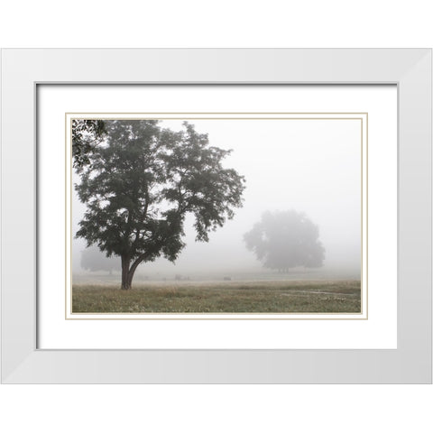 Morning Fog I White Modern Wood Framed Art Print with Double Matting by Van Swearingen, Debra