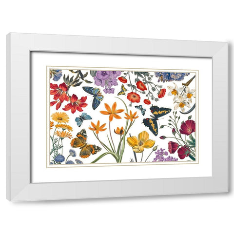 Butterfly Garden VI White Modern Wood Framed Art Print with Double Matting by Portfolio, Wild Apple
