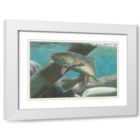 Fresh Catch I White Modern Wood Framed Art Print with Double Matting by Wiens, James