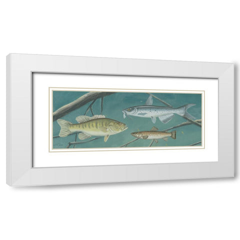 Fresh Catch III White Modern Wood Framed Art Print with Double Matting by Wiens, James