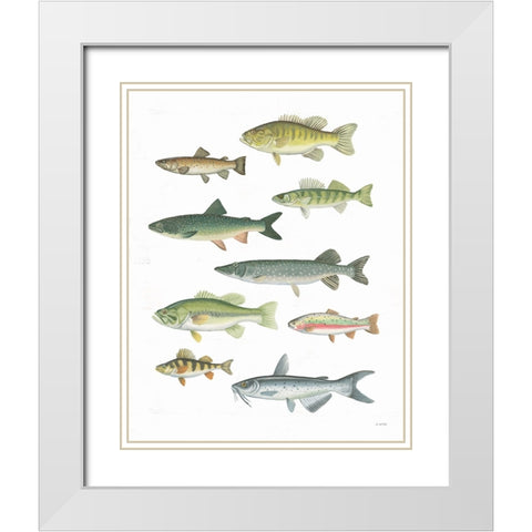 Fresh Catch V White Modern Wood Framed Art Print with Double Matting by Wiens, James