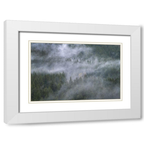 Misty Mountains North Cascades White Modern Wood Framed Art Print with Double Matting by Majchrowicz, Alan