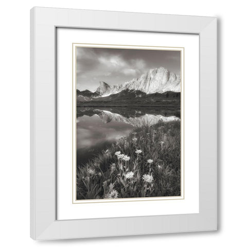 Pronghorn and Dragon Head Peaks BW White Modern Wood Framed Art Print with Double Matting by Majchrowicz, Alan