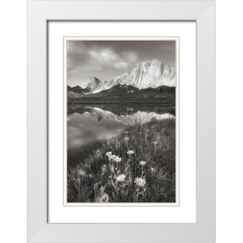 Pronghorn and Dragon Head Peaks BW White Modern Wood Framed Art Print with Double Matting by Majchrowicz, Alan