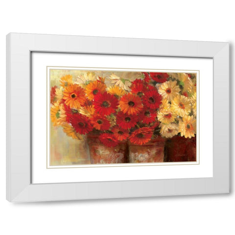 Chelsea Gerberas - Wag White Modern Wood Framed Art Print with Double Matting by Rowan, Carol