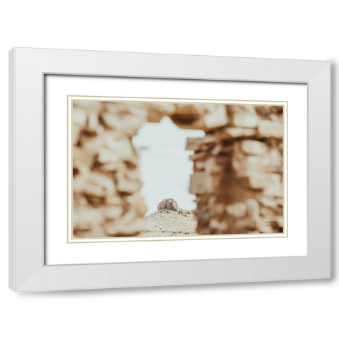 Through Ruins White Modern Wood Framed Art Print with Double Matting by Larson, Nathan