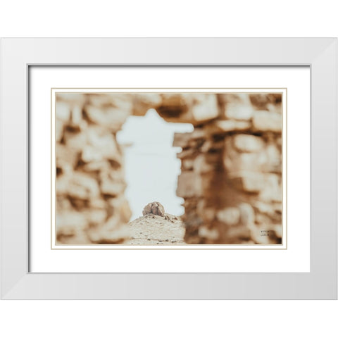 Through Ruins White Modern Wood Framed Art Print with Double Matting by Larson, Nathan